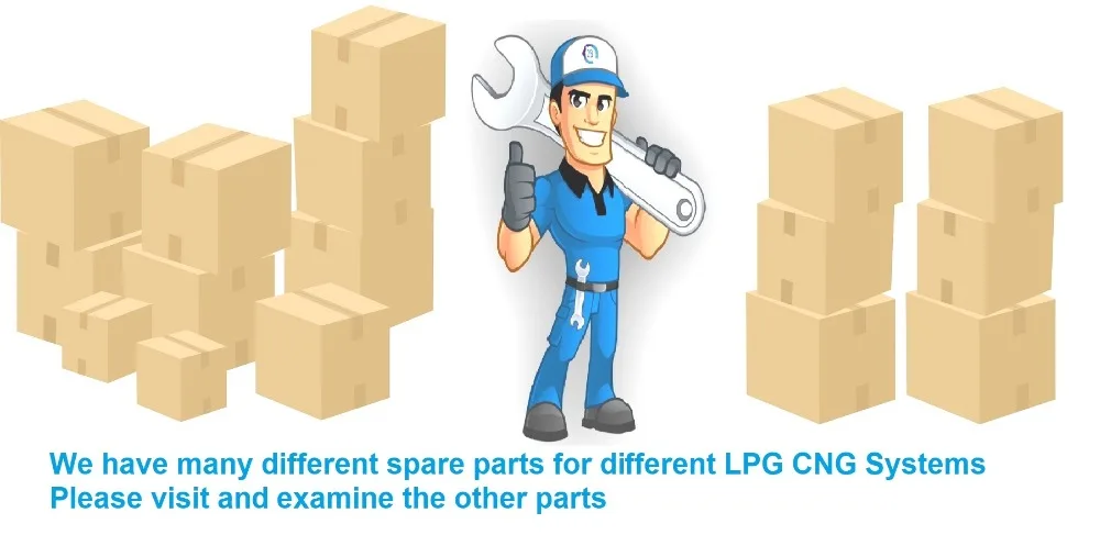 We have many different spare parts for different LPG CNG Systems yazili