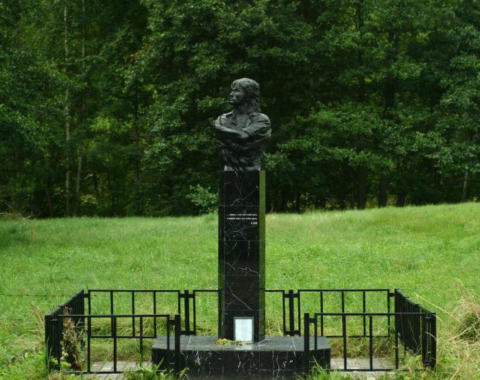 Рис. 5 Мемориал Виктору Цою в Латвии