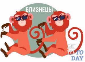 Близнецы