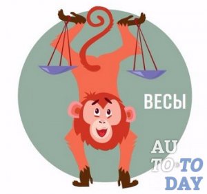 Весы
