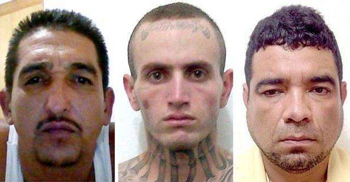 В Мексике арестована Мелисса «Ла Чина» Кальдерон, глава самого жестокого наркокартеля (10 фото)
