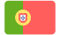Portugues