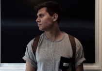 Почему деревья убили людей в Москве: мнение биолога Почему деревья убили людей в Москве: мнение биолога