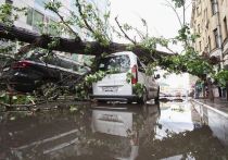 В МЧС объяснили отсутствие оповещения об урагане в Москве