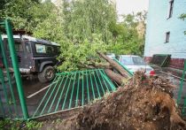 Число жертв урагана увеличилось до 16 Число жертв урагана увеличилось до 16