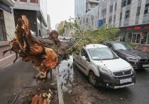 Скончался еще один пострадавший от майского урагана в Москве