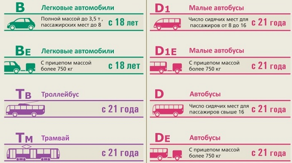 категории b d t водительские права